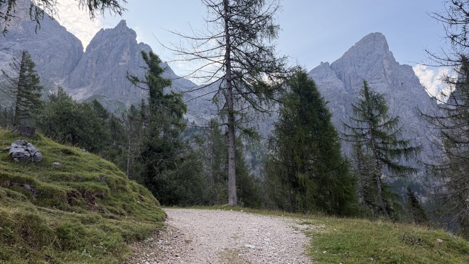 Ferrata-bolver-lugli-rifugio-rosetta-20260802 - Cima rosetta