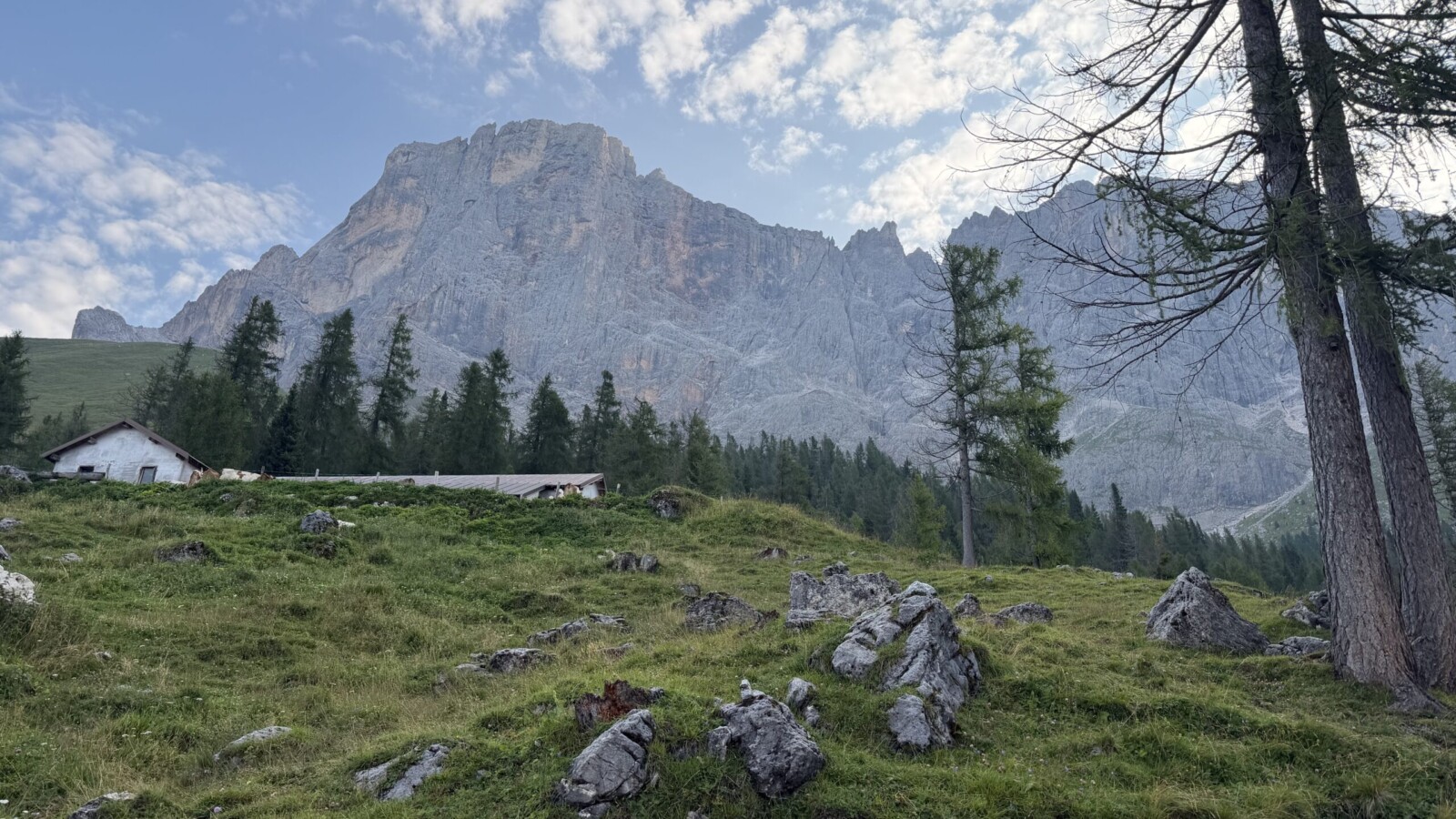 Ferrata-bolver-lugli-rifugio-rosetta-20260802 - Il cimon della Pala con malga Pala