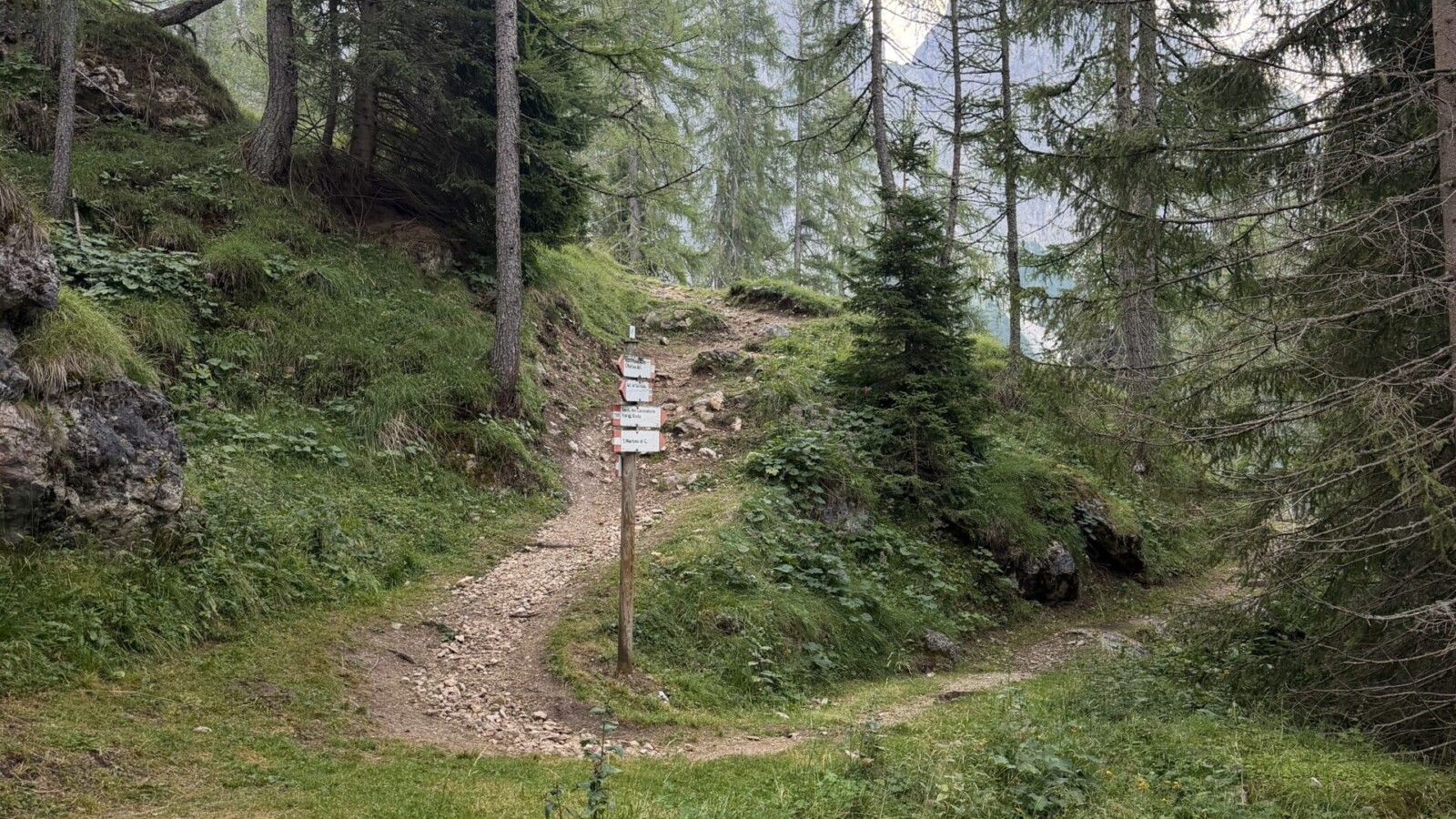Ferrata-bolver-lugli-rifugio-rosetta-20260802 - La deviazione per malga Pala