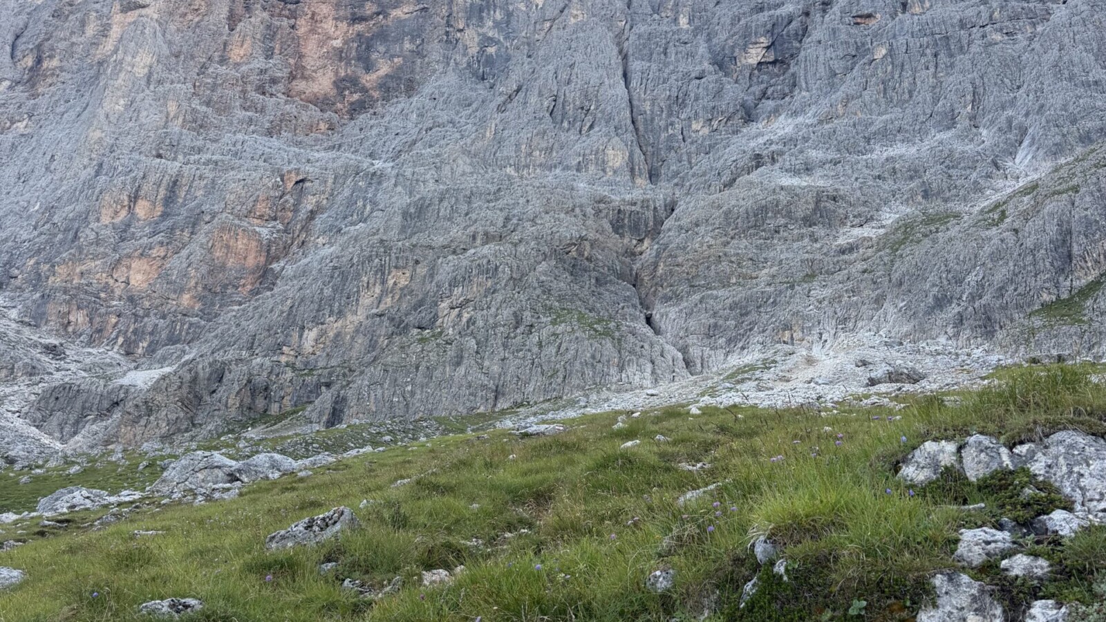 Ferrata-bolver-lugli-rifugio-rosetta-20260802 - La parete dove sale la ferrata