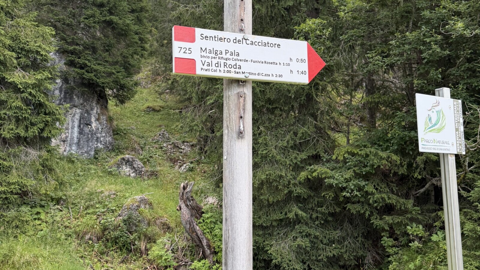 Ferrata-bolver-lugli-rifugio-rosetta-20260802 - Linizio del sentiero