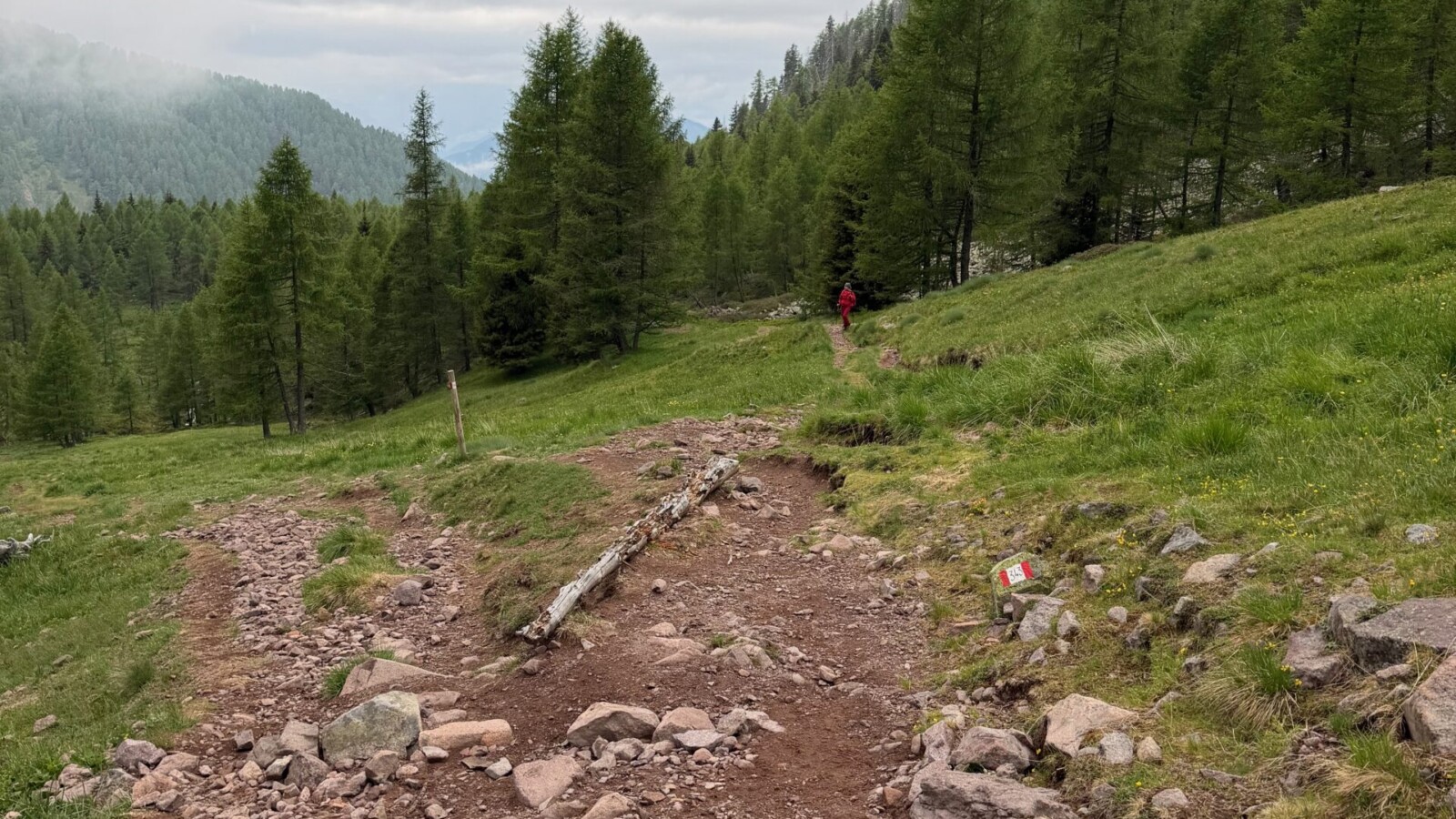 rifugio-sette-selle-20260602 - Incrocio con il sentiero di salita